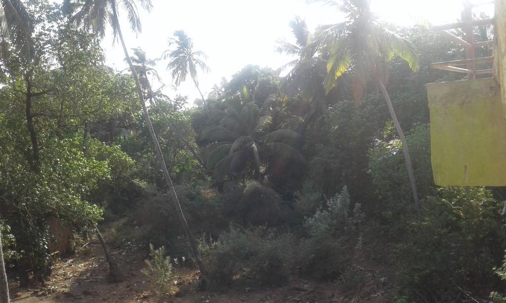 Shanti Guest House Arambol Buitenkant foto
